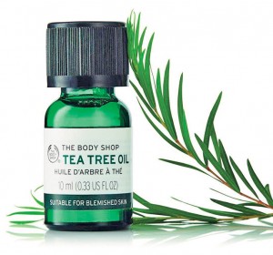 BTS_Tea-Tree-Oil