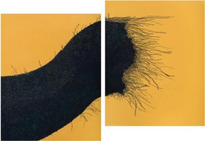 Epiphany of a Dot (Diptych).