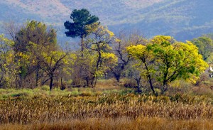 On the bank of Uchali Lake.