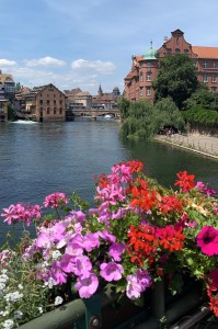 239884BB-9371-4666-AA3D-2EC15C7B1EDF