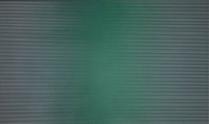 Fawad Jafri,  'Equality Prevails'