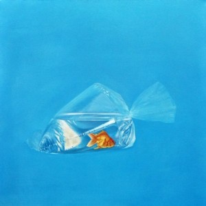 Kiran Saleem, Untitled