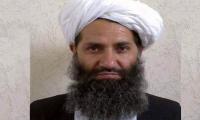 Taliban chief urges Afghans to plant more trees