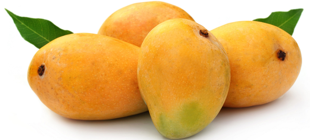 Mango export likely to increase this year