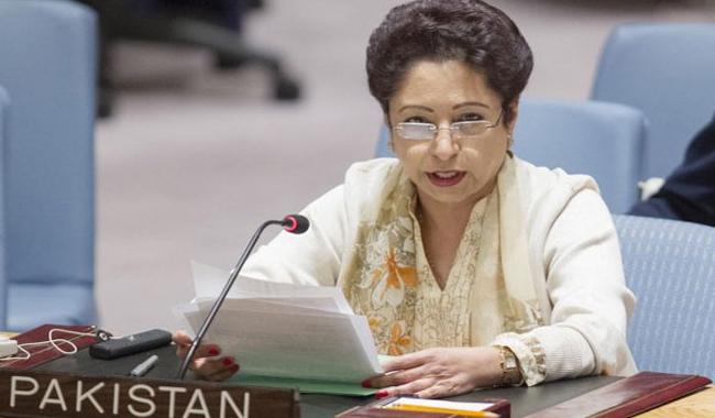 Taliban’s ‘safe havens’ inside, not outside Afghanistan; Pakistan tells UNSC