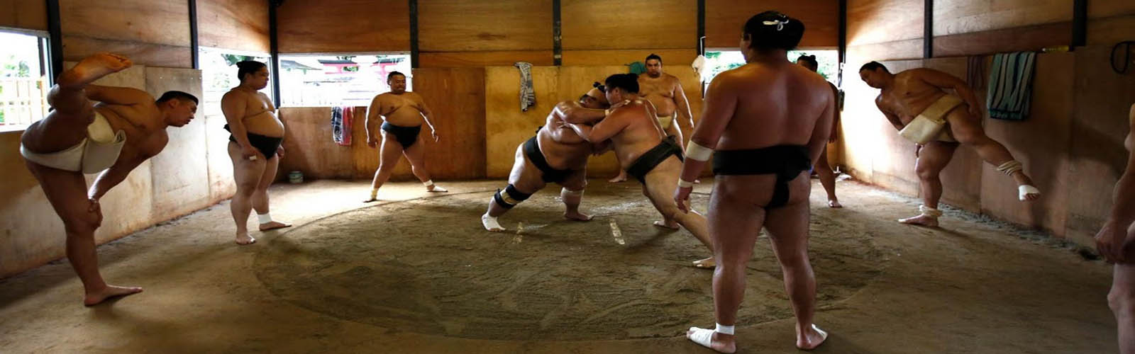 Getting to grips with sumo