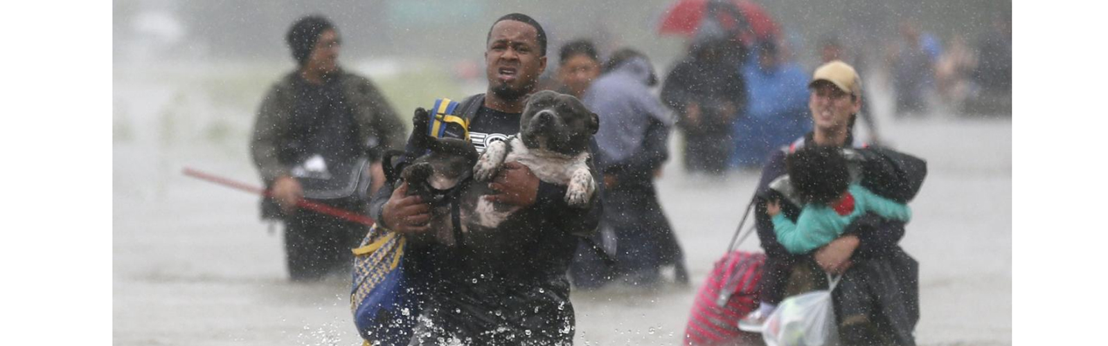 Texans refuse to leave pets behind as they flee Harvey