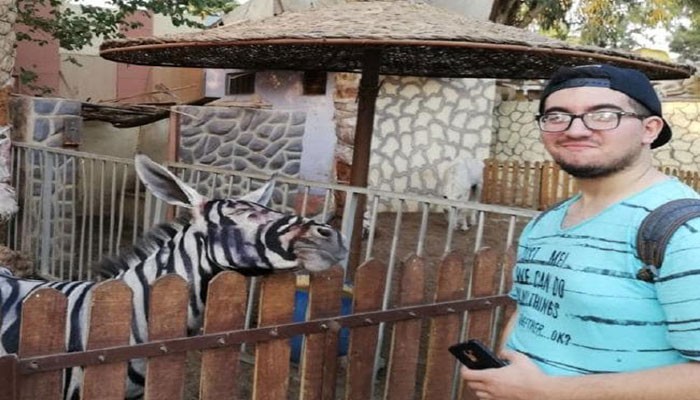 Kebun binatang Mesir mengecat keledai hitam putih untuk menyamarkannya sebagai zebra