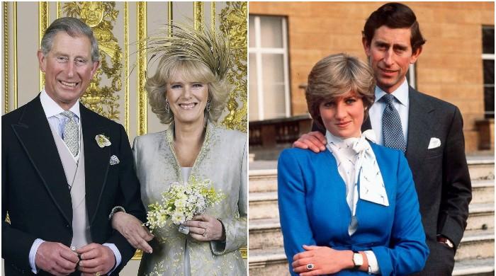If Diana was still alive, would Prince Charles and Camilla be married?