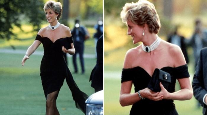 Royal photographer decodes Princess Diana's charisma during royal photo ops