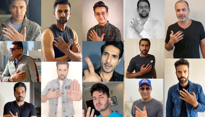 Pakistani Male Celebrities