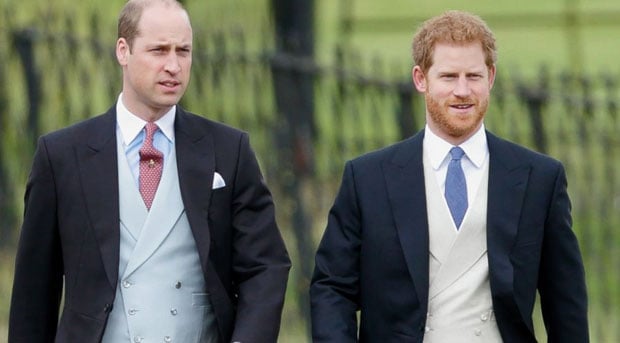 Apparently, Prince Harry and Prince William Are Feuding 