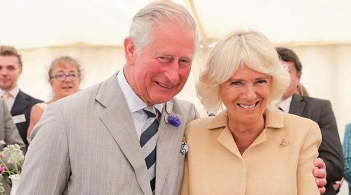 l_734477_064000_updates.jpg?t=101041