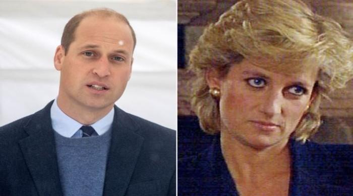 Princess Dianas fall to disgrace after divore from Charles devastated Prince William - The News International