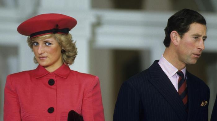 Princess Diana once admitted she 'couldn't remember' parts of royal life: report - Vimarsana News