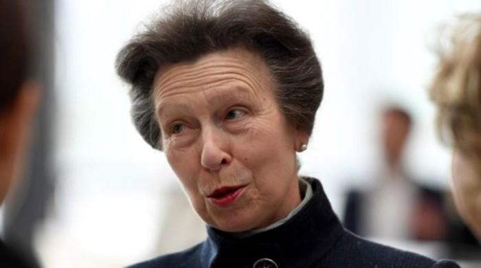 Princess Anne breaks royal protocol with shocking comment about Brexit