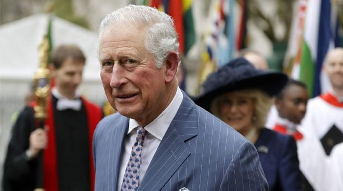 Prince Charles sheds light on Windsor Castle fire: 'My blood ran cold'