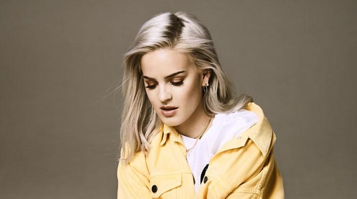 Anne-Marie admits she got 'slapped in the face' by a shark
