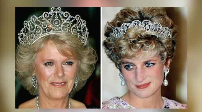 Princess Diana read Camilla-Parker's mind during their first meeting - Vimarsana News