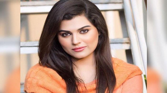 Sophia Mirza children smuggling case: Court issues notices over accused Sadaf Naaz's bail plea - Vimarsana News