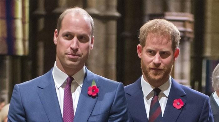 Photo of Le prince William est « triste et choqué » par l’insulte du prince Harry à la reine Elizabeth