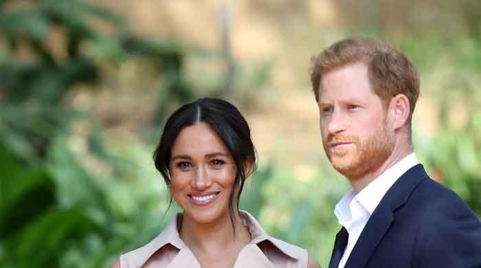 Meghan Markle, Harry's remarks spark angry denial from the 'Society of Editors' - Vimarsana News