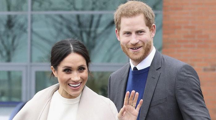 Meghan Markle and Prince Harry are striving to bring diversity in the media industry - Vimarsana News
