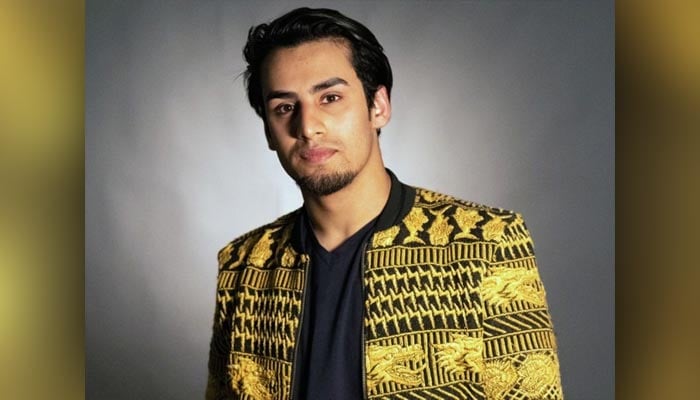 Commonwealth names British-Pakistani student Momin Saqib as Youth COVID-19  Hero