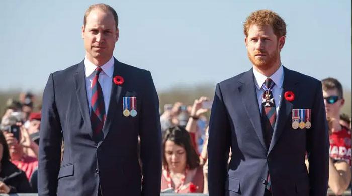 Aides nervously 'walking on eggshells' with Prince William, Harry - Vimarsana News
