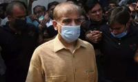 Decision on bail for Shehbaz Sharif only after all facts known: LHC