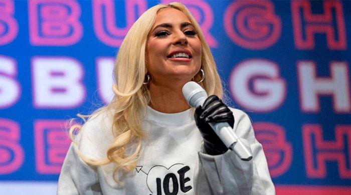 Lady Gaga's family addresses 'relief' over dognappers arrest - Vimarsana News