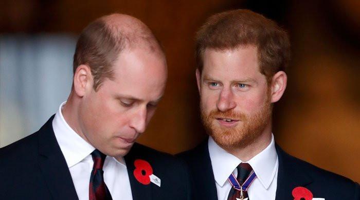 Prince Harry's latest move said to disappoint Prince William