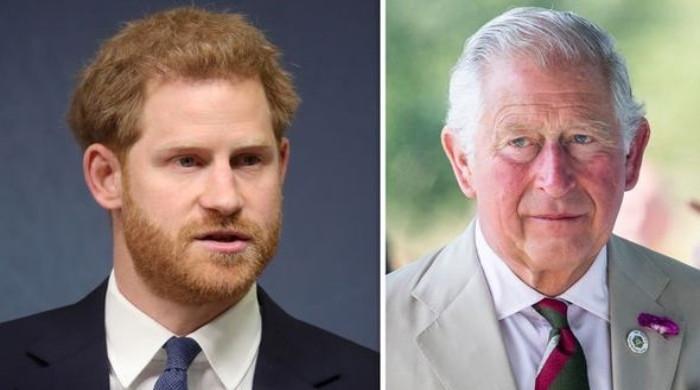 Prince Harry to wage war against royals with more truthbombs in new docuseries - Vimarsana News