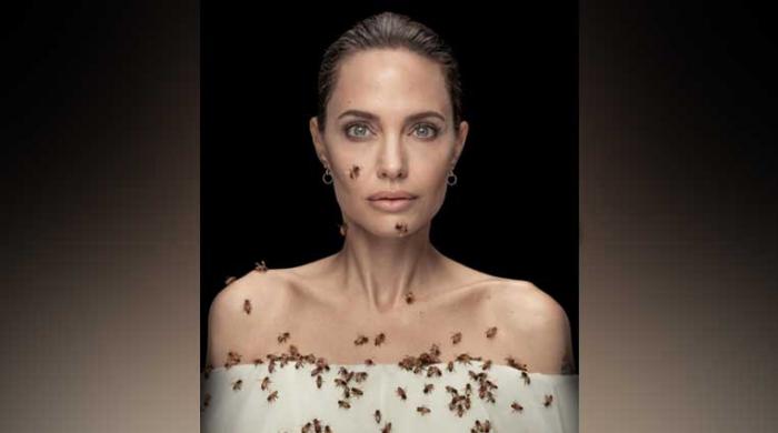 Angelina Jolie's covered in bees for latest call to action - Vimarsana News