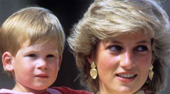 Princess Diana's brother reacts to BBC inquiry - Vimarsana News