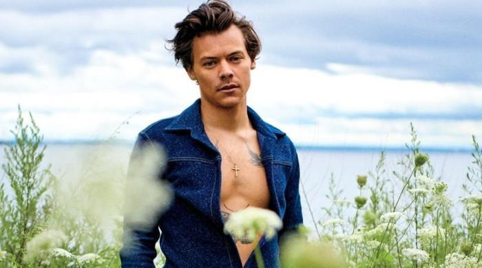 Harry Styles is taking his androgynous style to the next level with a new brand - Vimarsana News