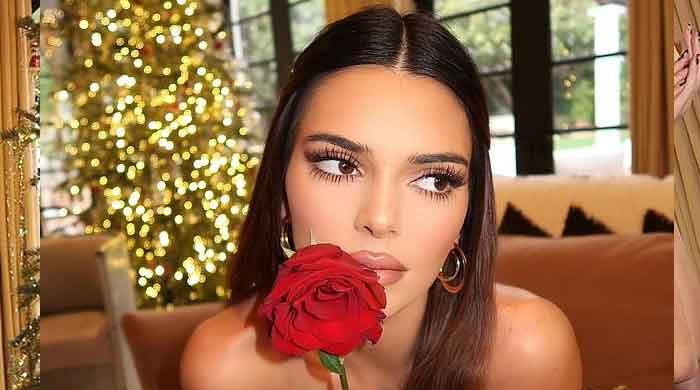 Kendall Jenner flaunts her incredible physique as she steps out in stylish outfit - Vimarsana News