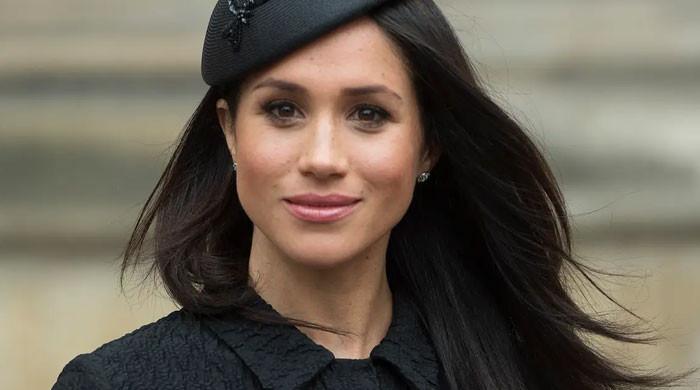 Meghan Markle's pal shares peek into Harry, Archie illustrations in 'The Bench' - Vimarsana News