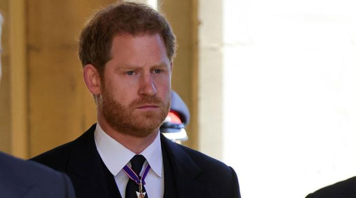 Prince Harry bashed over Diana statue visit: 'It's better if he doesn't come'