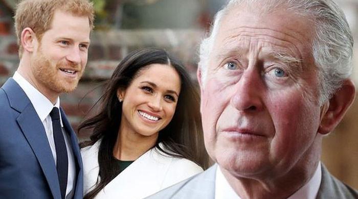 Prince Charles to never let Harry, Meghan’s kids inherit their titles ...