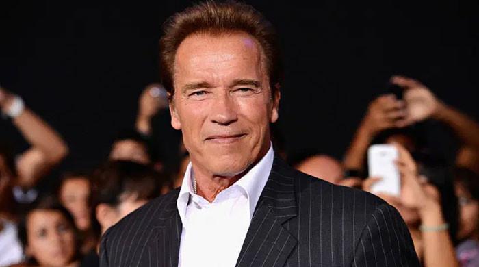 Arnold Schwarzenegger reveals family's reaction to political ambitions