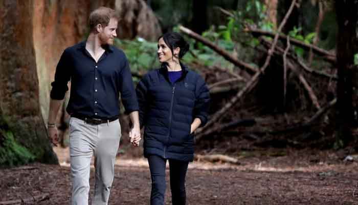Meghan Markle and Prince Harry unable to earn money they need in UK says expert