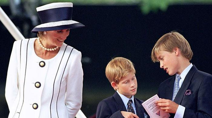 Princess Diana made William and Harry 'promise to remain best friends forever'