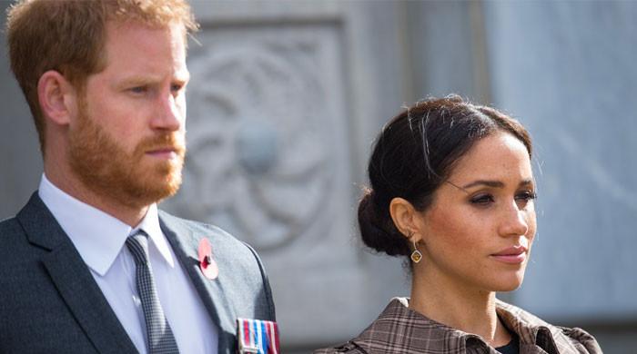 Prince Harry, Meghan Markle bashed over 'unwinnable battle' against royal family
