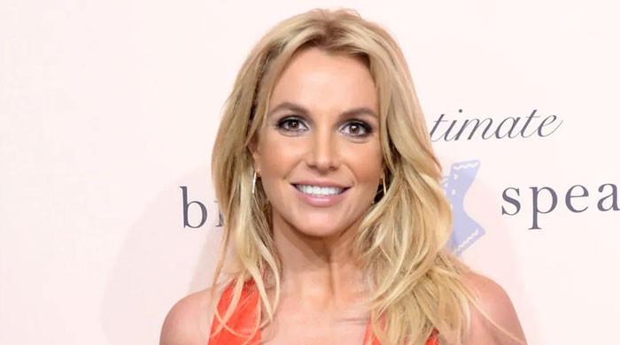 Britney Spears admits social media posts have been 'lies' for years
