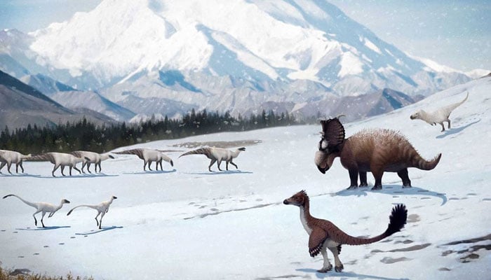 Chill life: Dinosaurs thrived in the ancient Arctic