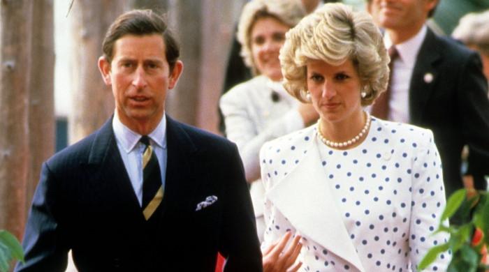 Princess Diana anticipated divorce with Charles after Panaroma sit-down