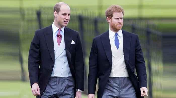 Prince Harry and William may renew vow to remain 'each other's best friends' for a tribute to Diana