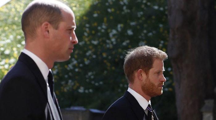 Brothers at war, William and Harry, to set aside feud for Diana's 60th birthday