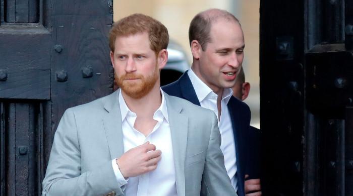Body language expert reveals Harry will put on good show with William for Diana